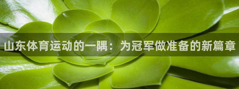 山东体育运动的一隅：为冠军做准备的新篇章