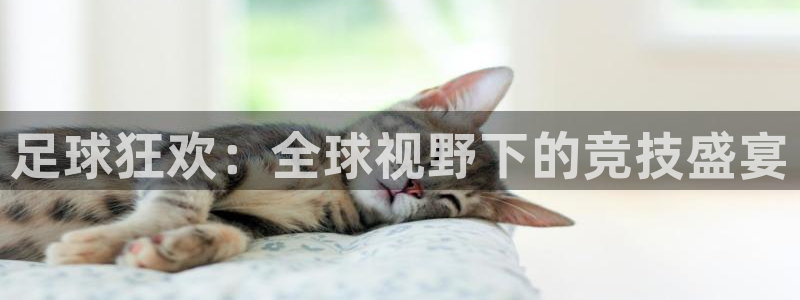 足球狂欢：全球视野下的竞技盛宴