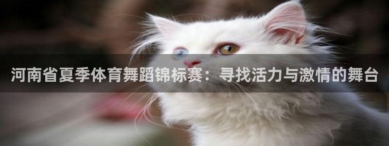 河南省夏季体育舞蹈锦标赛：寻找活力与激情的舞台