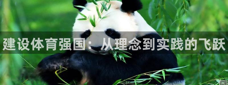 建设体育强国：从理念到实践的飞跃